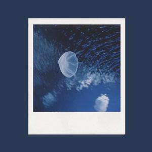 武松影视m8u3的更新情况
